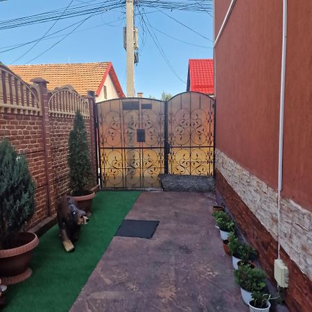 ホテル Casa Cojanu Petroşani エクステリア 写真