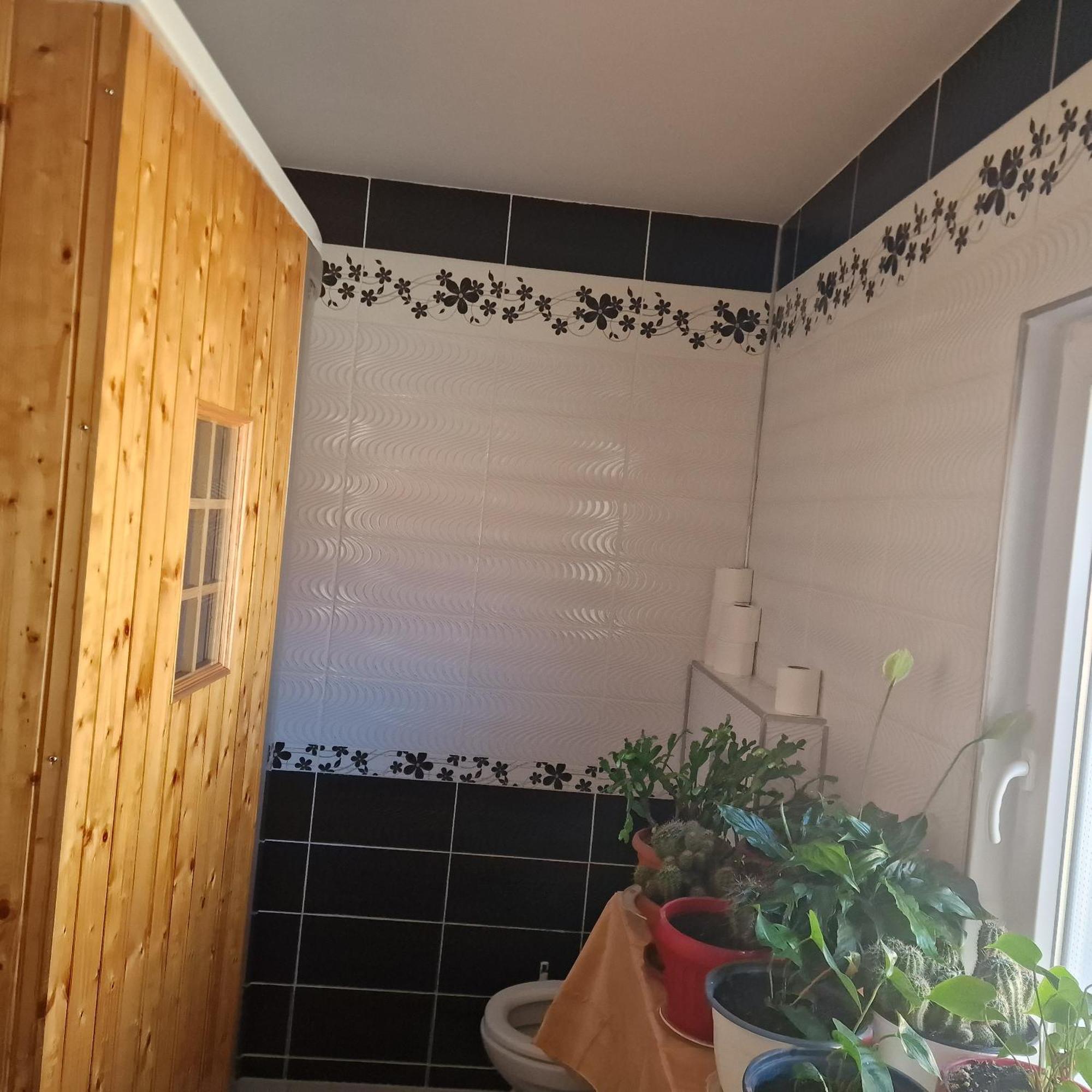 ホテル Casa Cojanu Petroşani エクステリア 写真
