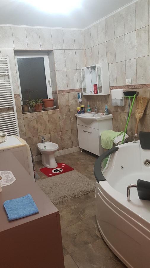 ホテル Casa Cojanu Petroşani エクステリア 写真