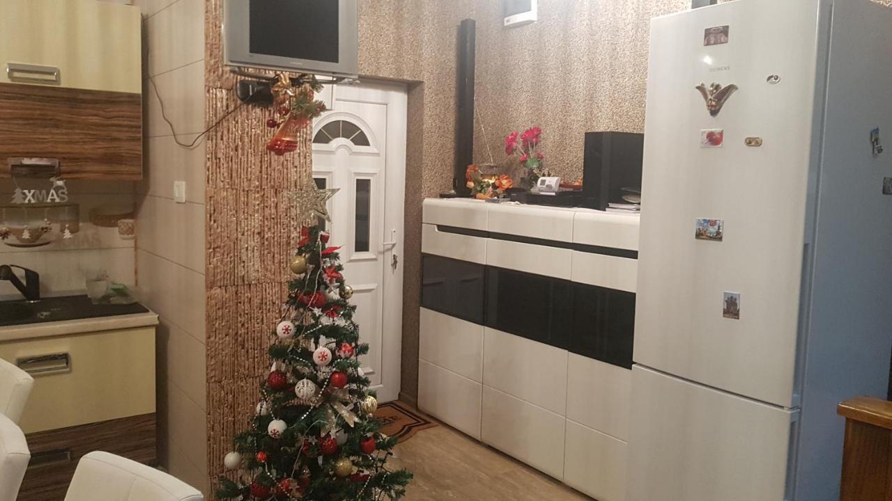 ホテル Casa Cojanu Petroşani エクステリア 写真