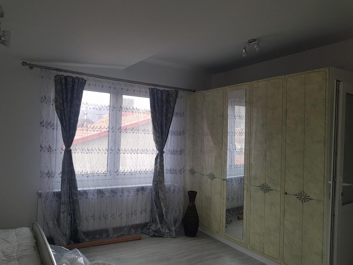 ホテル Casa Cojanu Petroşani エクステリア 写真