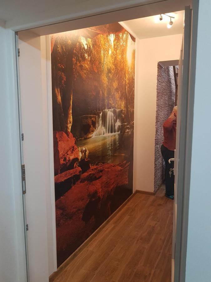 ホテル Casa Cojanu Petroşani エクステリア 写真