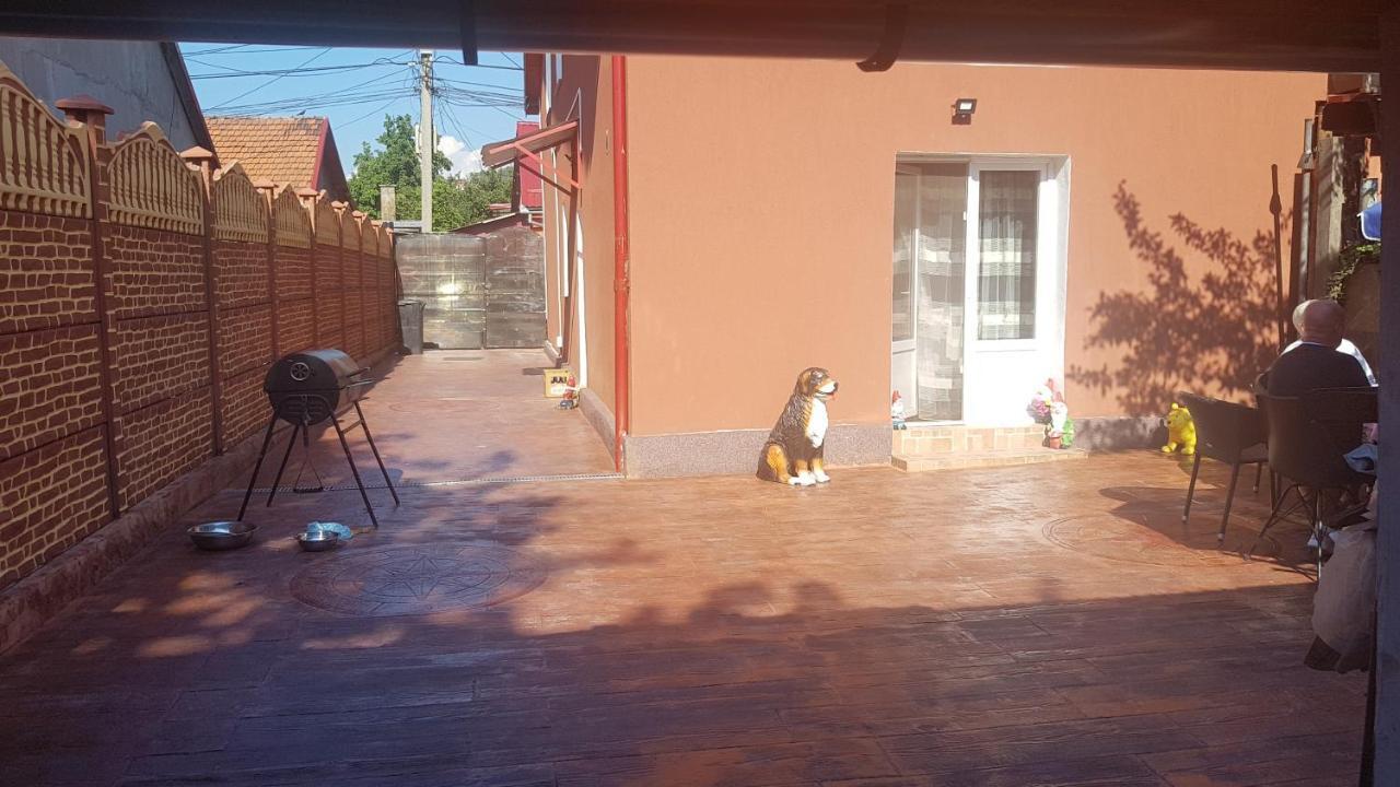 ホテル Casa Cojanu Petroşani エクステリア 写真