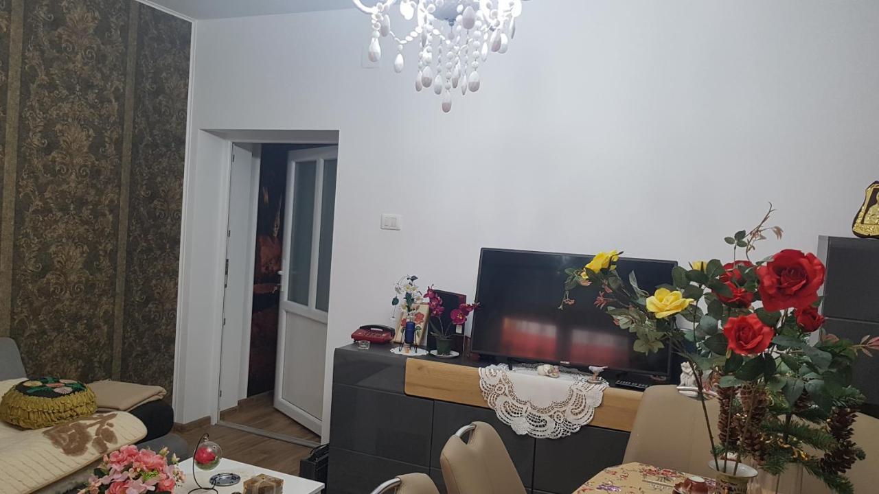 ホテル Casa Cojanu Petroşani エクステリア 写真