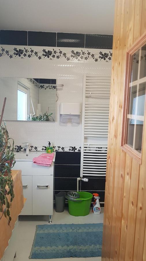 ホテル Casa Cojanu Petroşani エクステリア 写真