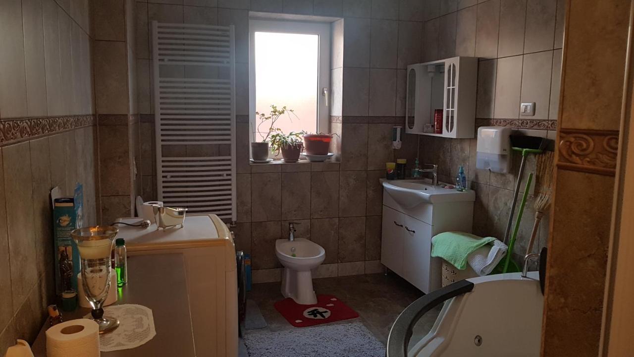 ホテル Casa Cojanu Petroşani エクステリア 写真