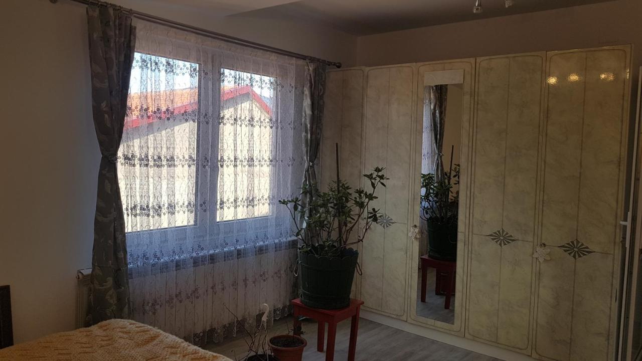 ホテル Casa Cojanu Petroşani エクステリア 写真
