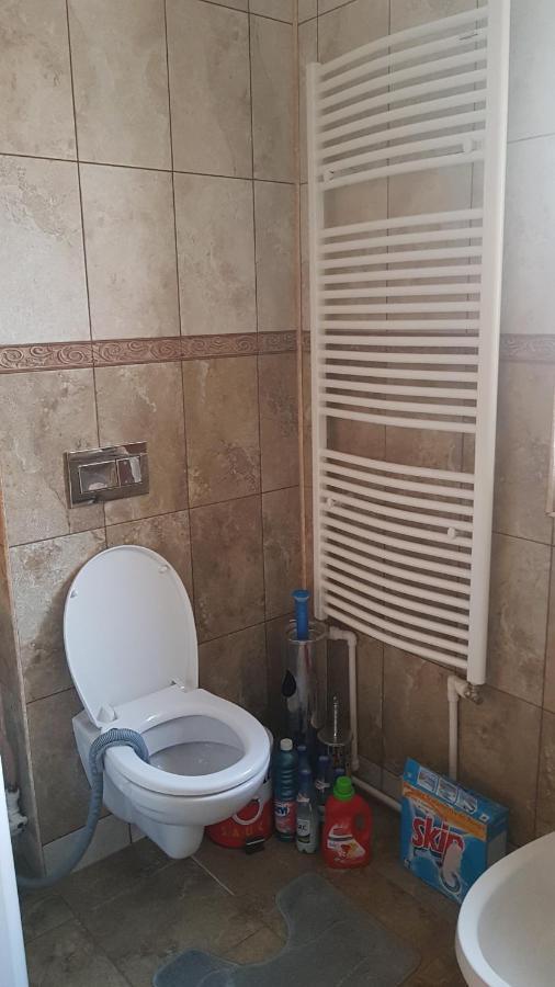 ホテル Casa Cojanu Petroşani エクステリア 写真