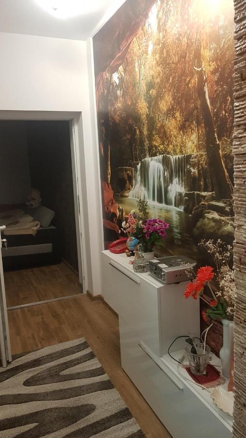 ホテル Casa Cojanu Petroşani エクステリア 写真